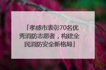 孝感市表彰70名优秀消防志愿者，构建全民消防安全新格局